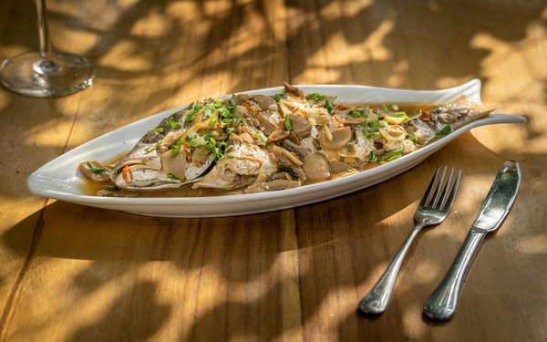 Las últimas tendencias en salud en España en 2024